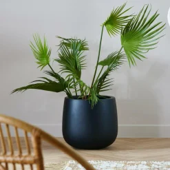 CASA ARECA Palmier Vert