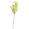CASA BERRY Branche D'herbes Jaune