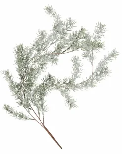 CASA CEDER Branche Décorative Vert