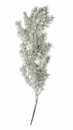 CASA CEDER Branche Décorative Vert