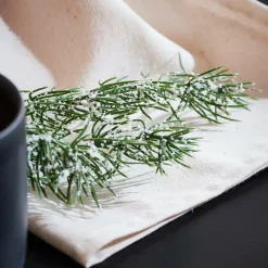 CASA CEDER Branche Décorative Vert