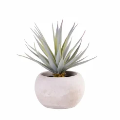 CASA CEMENT Plante Artificielle Gris