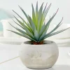 CASA CEMENT Plante Grasse Artificielle Gris