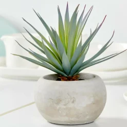 CASA CEMENT Plante Grasse Artificielle Gris