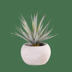 CASA CEMENT Plante Grasse Artificielle Gris