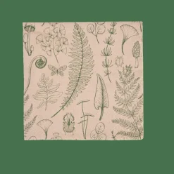 CASA ECO NATURE Set De 20 Serviettes Multicolore