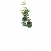CASA EUCALYPTUS Couronne Vert