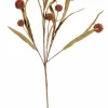 CASA EVA Eucalyptus Vert