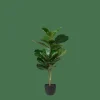 CASA FIGI Plante Artificielle Noir, Vert Foncé
