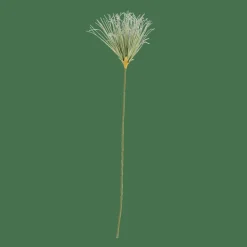 CASA GRASS Botte D'herbe Vert