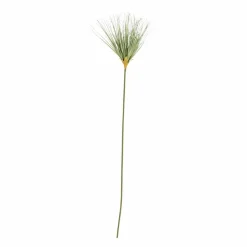 CASA GRASS Botte D'herbe Vert