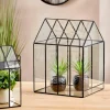 CASA GREENHOUSE Terrarium Transparent