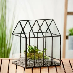 CASA GREENHOUSE Terrarium Transparent