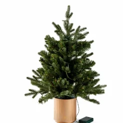 CASA HYMNE Branche Décorative Vert