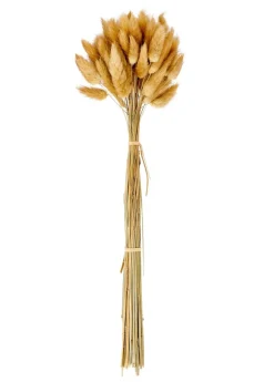 CASA JULIA Vase Brun