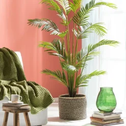 CASA KWAI Palmier Vert