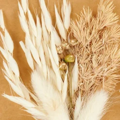CASA MIA Décoration Séchée Beige