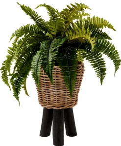 CASA OAK Socle Naturel