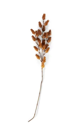 CASA ODON Vase Brun
