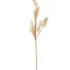 CASA PAMPA Herbe Des Pampas Blanc