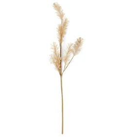 CASA PAMPA Herbe Des Pampas Blanc
