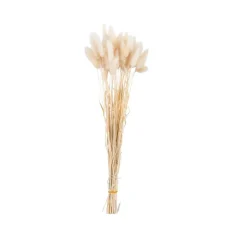CASA PAMPLONA Vase Crème