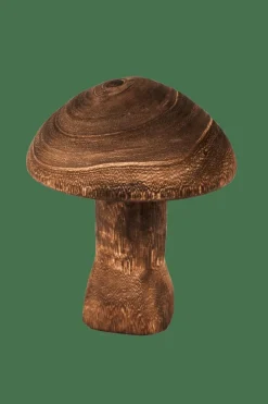 CASA PAULO Champignon Brun