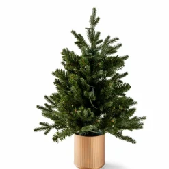 CASA PIM Guirlande Lumineuse 25 LEDs Vert