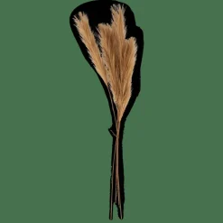 CASA PLUME Plumes Décoratives Brun