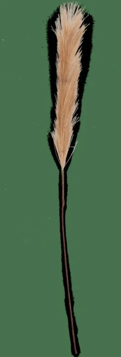 CASA PLUME Plumes Décoratives Brun