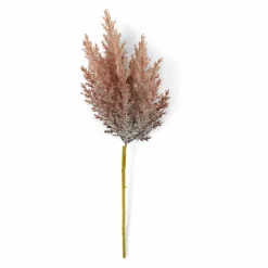 CASA PLUME Plumes Décoratives Brun Clair