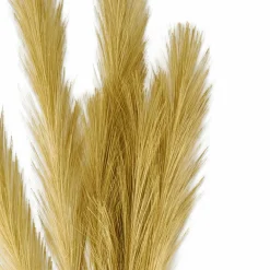 CASA PLUME Plumes Décoratives Brun Clair