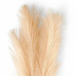 CASA PLUME Plumes Décoratives Brun Clair
