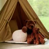 CASA POLA Ours Brun