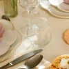 CASA PREMIUM Verre à Eau 43 CL