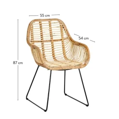 CASA ROTAN Chaise De Salle à Manger Naturel
