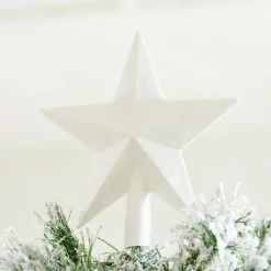 CASA STAR Décoration Séchée