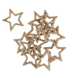 CASA STAR Décoration Séchée