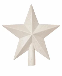 CASA STAR Décoration Séchée