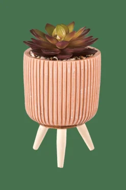CASA STRIPE Plante Grasse Artificielle Multicolore
