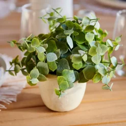 CASA TERRA Pot Avec Plante Blanc, Vert
