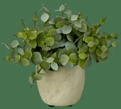 CASA TERRA Pot Avec Plante Blanc, Vert