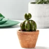 CASA TIERRA Pot De Fleurs Terre Cuite